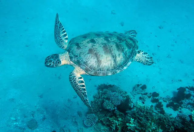 Ganz einfach: Schön!